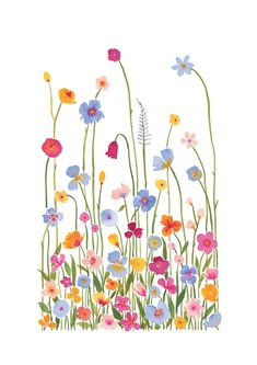 an illustration of colorful flowers on a white background