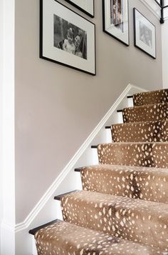 the stairs are decorated with deer prints and framed pictures