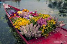 a row boat filled with lots of colorful flowers