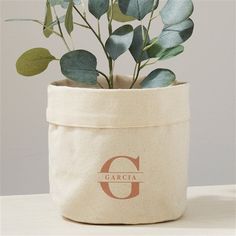 a plant in a canvas bag with the letter c on it's side and leaves sticking out of it