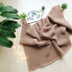 a blanket and potted plant on a table