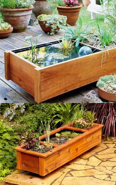 an outdoor garden filled with lots of different types of plants and water in wooden containers