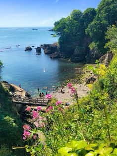 people are walking along the path to the water's edge on a sunny day