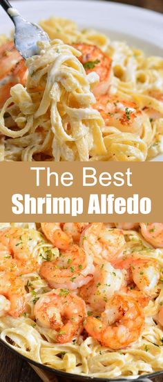 the best shrimp alfredo recipe is in this dish