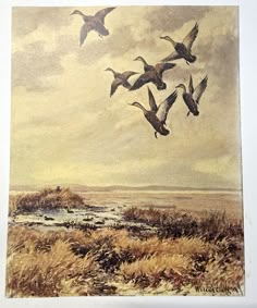 there are many birds flying in the sky above some grass and water on this painting