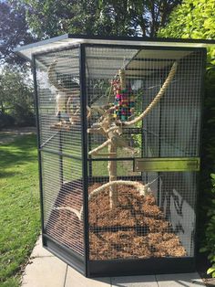 a bird cage that is filled with dirt and some birds in the back ground next to it