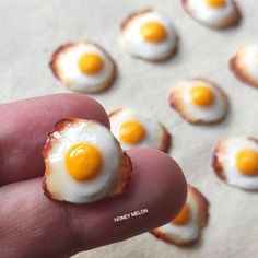 a hand holding a tiny egg in the middle of small eggs