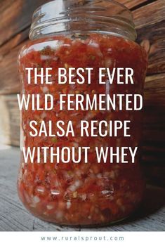 the best ever wild fermented salsa recipe without wheyk in a jar