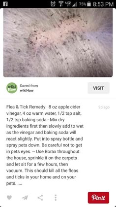 an image of a cell phone screen with the text fix and tick remedy 8oz apple cider vinegar