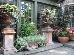 there are many potted plants in front of the door to this house that says interest