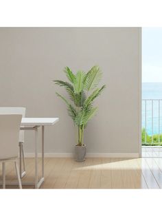 there is a potted plant next to a table and chairs on the floor in an empty room