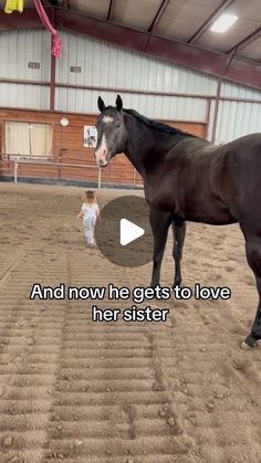 @swimmer_2_winner on Instagram: "My hormones 🥹 #fyp #viral #horse #love #blessed" Baby Animals Adorable, Pictures Of Horses, Unusual Pets, Largest Horse Breed, Wild Horse Pictures, Funny Horse Videos, Funny Horse Pictures, Baby Animal Videos, Cute Horse Pictures