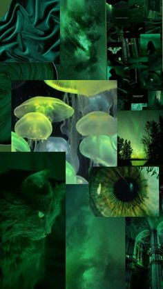 many different images of green and black colors in the night sky with trees, plants, and mushrooms