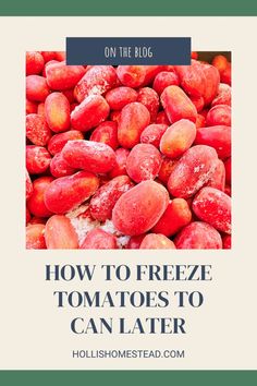 the words how to freeze tomatoes to can later