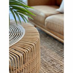 a plant sitting on top of a wooden table next to a couch and chair in a living room