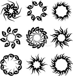 an image of different shapes and sizes of flowers on a white background, including spirals