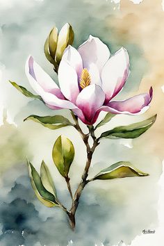 The magnolia, a symbol of purity and nobility, is beautifully captured in this watercolour art print, showcasing its delicate white petals with hints of pink and purple. This artwork is a perfect way to bring the tranquil beauty of nature into your home, creating a serene and elegant atmosphere in any room. Magnolia Flower Watercolor, Watercolor Art Paintings Beautiful, Watercolor Art Plants, Large Watercolor Paintings, Watercolour Magnolia, Water Coloring Painting Ideas, Magnolia Watercolor Painting, Flower Watercolor Paintings, Watercolor Art Nature