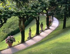 several statues are lined up on the side of a path between trees and flowers in a potted planter