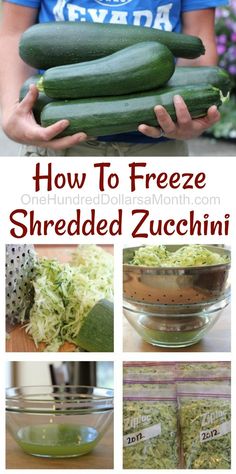 how to freeze shredded zucchini