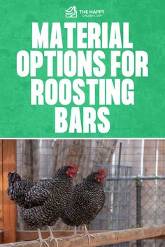 12 Best Chicken Roosting Bar Ideas for In and Out of the Coop | The Happy Chicken Coop