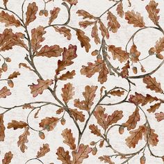 the leaves and branches of an oak tree are arranged on a white background with brown spots