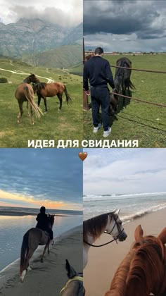 horses and people on the beach with mountains in the background