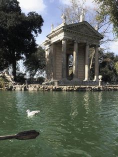 there is a bird that is swimming in the water next to a small building with columns