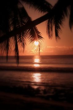 the sun is setting over the ocean with palm trees