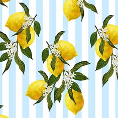 lemons and stripes peel and stick wallpaper Lemon Pattern, Italian Pattern, Cake Branding, Lemon Patterns, Peel And Stick Vinyl, Cute Patterns Wallpaper, Inspiration Wall, Cute Wallpaper Backgrounds, Traditional Wallpaper