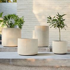 three white planters sitting next to each other in front of a brick wall and concrete steps