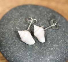 Sea shell earrings, Spiral shell stud earrings, white nassa shell earrings, beach earrings, Hawaii, summer earrings, gift under 20 A might cute wet of baby Nassa shells set onto sterling silver backings! Because of nature and all its beauty, the pair your receive may have slight variations, making them perfectly one of a kind! Each shell measures aprox 12mmx6mm. Shells stimulate intuition, sensitivity, imagination and adaptability. It helps to enhance mental clarity and provides insight into dec Sea Shell Earrings, Hawaii Summer, Spiral Shell, Earrings Beach, Beach Earrings, Summer Earrings, Spiral Earrings, Tourmaline Necklace, Summer Earring