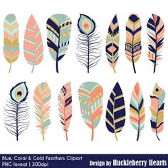 an assortment of colorful feathers on a white background