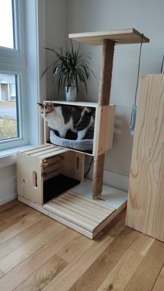 a cat sitting on top of a wooden shelf