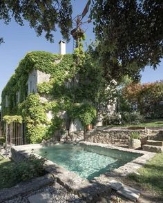 an outdoor swimming pool surrounded by greenery and stone steps in front of a house