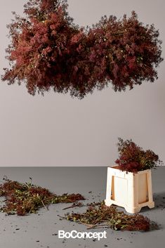 a bunch of plants that are sitting in a box on the ground with it's roots sticking out