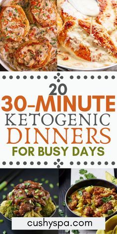 These ketogenic dinners are great if you want to lose weight and stay on the low carb diet. These quick keto dinners can be made in under 30 minutes. #ketodiet #ketorecipes #ketomeal Ketogenic Recipes Dinner, Breakfast Low Carb, Keto Dinners, Diet Vegetarian, Keto Diet Meal Plan, Idee Pasto Sano