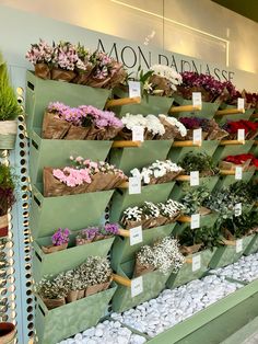 many different types of flowers are on display