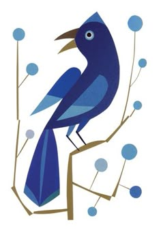 a blue bird sitting on top of a tree branch