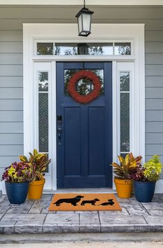 a blue front door with two planters and a wreath