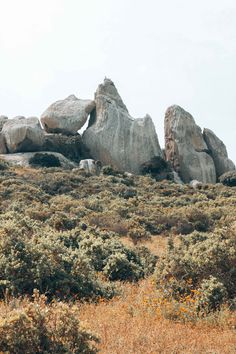 an animal standing on top of a lush green field next to rocks and bushes in the distance