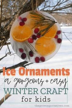 an ornament hanging from a tree with oranges and cranberries on it