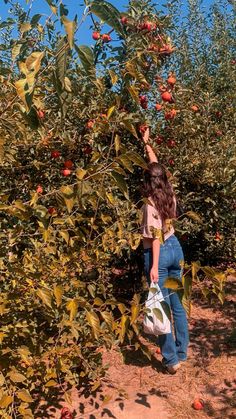 a woman picking apples from an apple tree