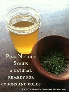 Pine needles are loaded with vitamin C. Here's how to create a natural syrup to… Natural Syrup, Herb Healing, Herbal Wellness, Making Medicine, Witches Kitchen, Herbal Salves, Medicinal Herb, Plant Medicine