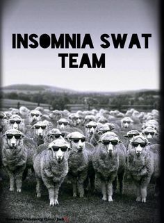 Cant Sleep Quotes, Insomnia Funny, Insomnia Quotes, Sleep Quotes Funny, Sleep Meme, Sleep Quotes, Swat Team, Need Sleep, Sleep Funny