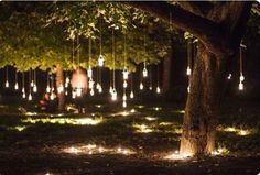 black and white photograph of lights hanging from trees in the dark forest at night time