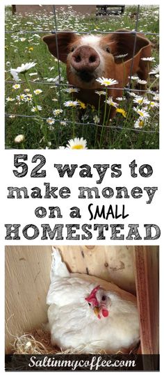 two pictures with the words 52 ways to make money on a small homestead