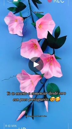 pink flowers on blue background with caption in spanish for the day of peace and love