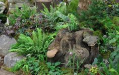 a garden filled with lots of different types of plants and rocks in the middle of it