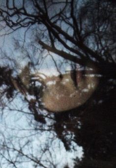 the reflection of trees and sky is seen through a glass window with its reflection in it