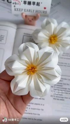 two white flowers are held in front of an open book with chinese characters on it